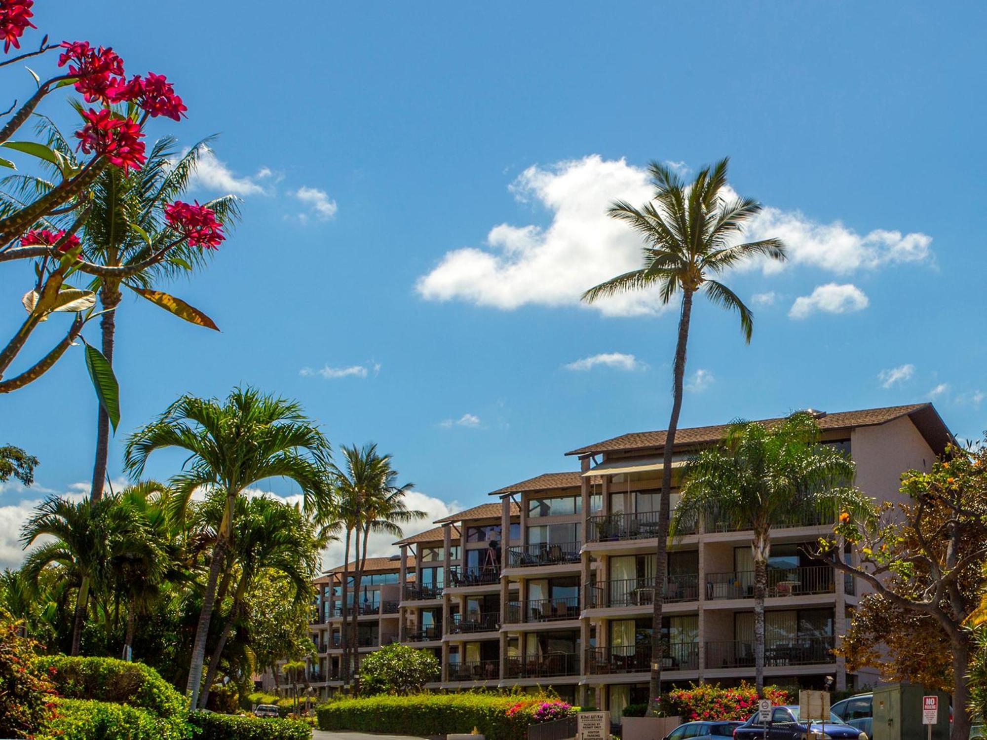 Ocean View Unit At Kihei Alii Kai Close To Beach Esterno foto